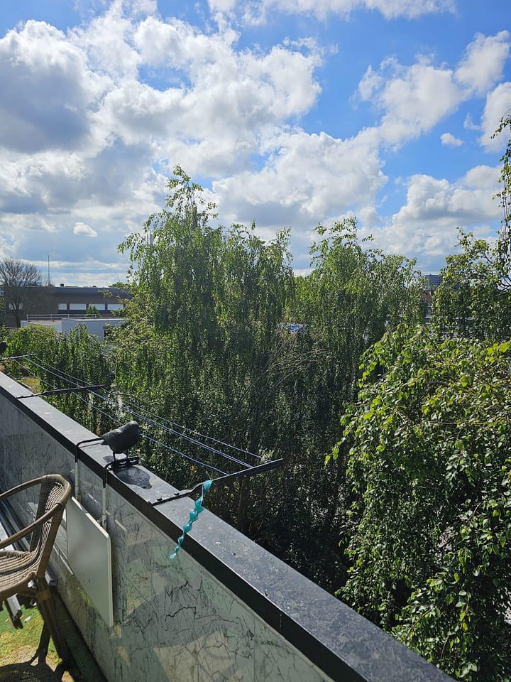 Foto 14 van Troelstrakade 363