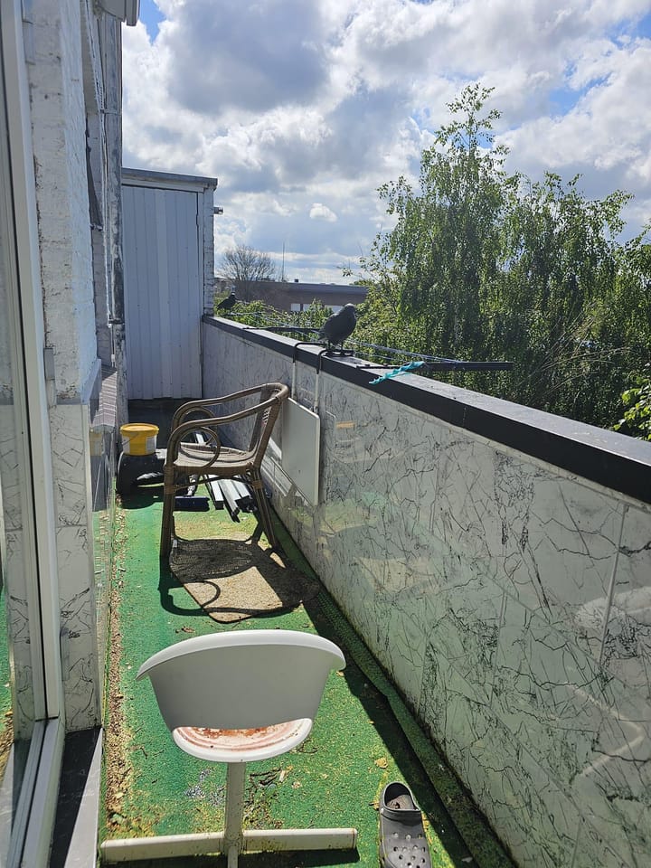 Foto 15 van Troelstrakade 363