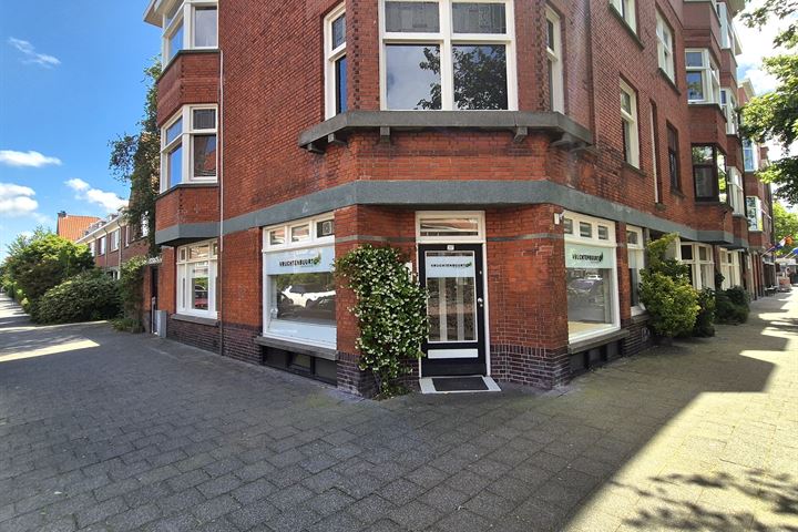 Abrikozenstraat 207, Den Haag