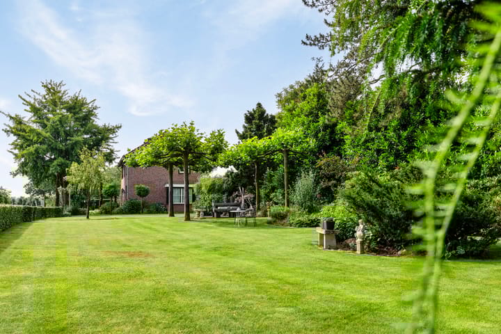 Foto 51 van Boltweg 6