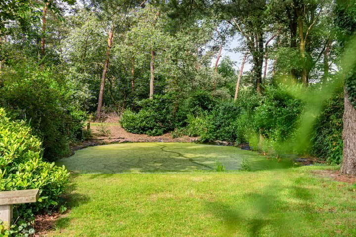 Foto 55 van Boltweg 6