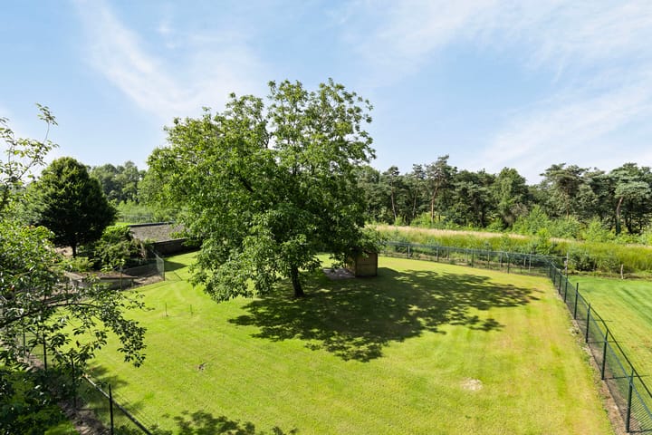 Foto 60 van Boltweg 6