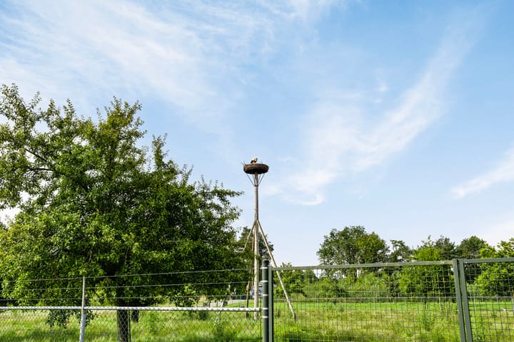 Foto 63 van Boltweg 6