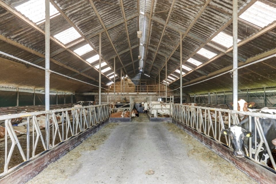 Foto 54 van Lekdijk 436