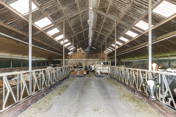 Foto 54 van Lekdijk 436