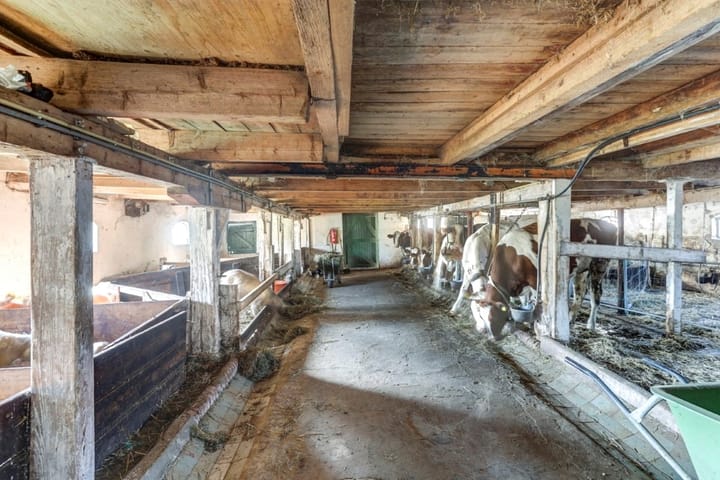 Foto 64 van Lekdijk 436