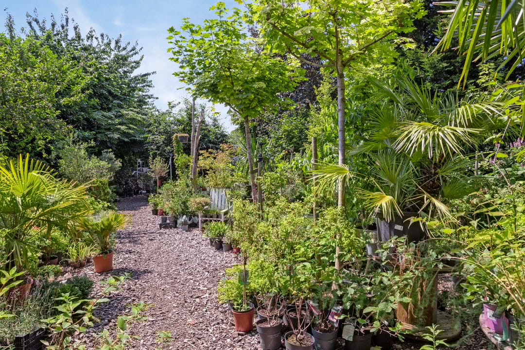 Foto 52 van Zeddamseweg 6