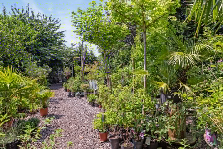 Photo 52 of Zeddamseweg 6