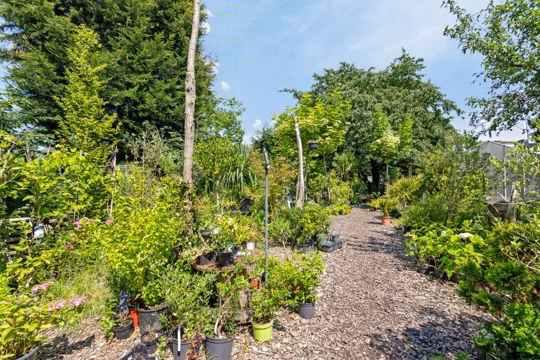 Foto 53 van Zeddamseweg 6