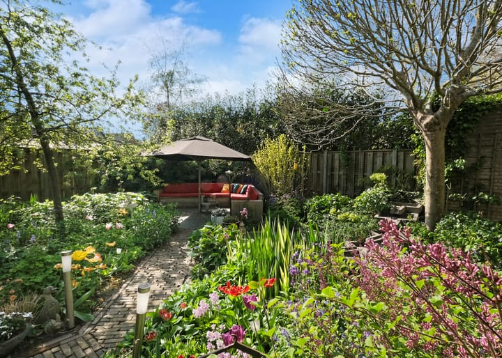 Foto 7 van Burgemeester de Boerlaan 20