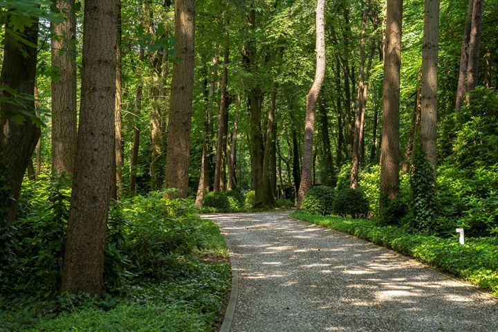 Bekijk foto 5 van Berg en Dalweg 22