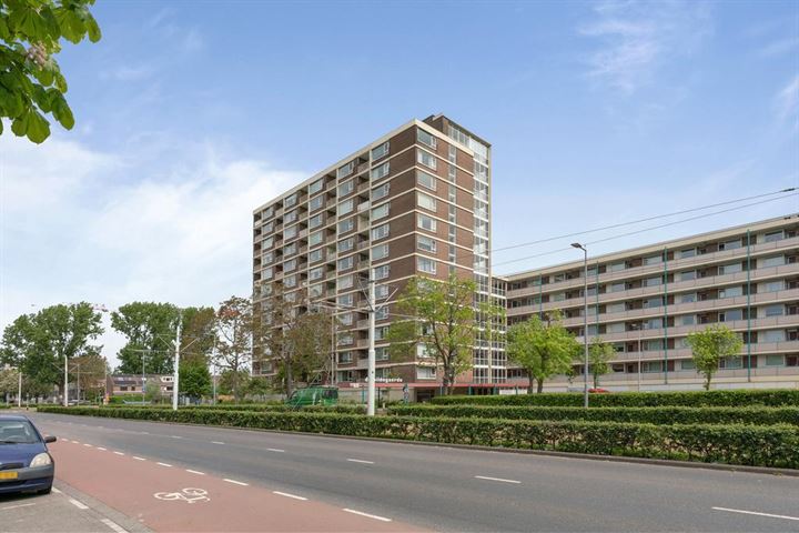 View photo 1 of Wilgenplaslaan 314