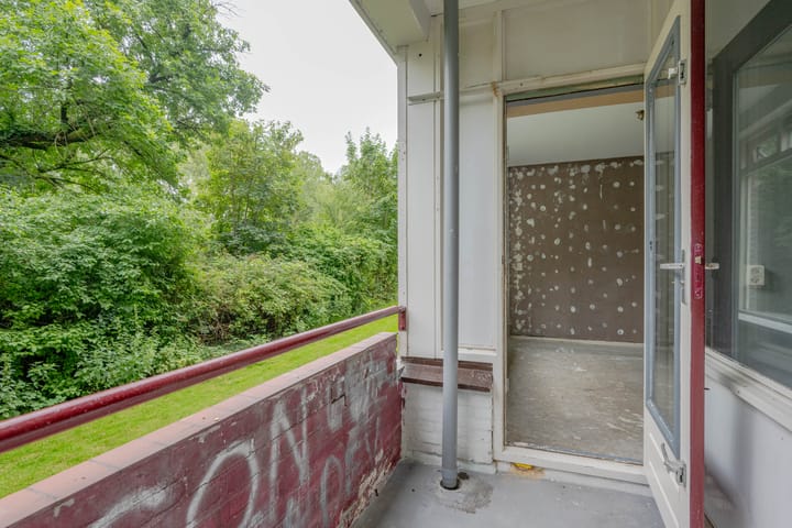 Foto 5 van Ruigoord 58