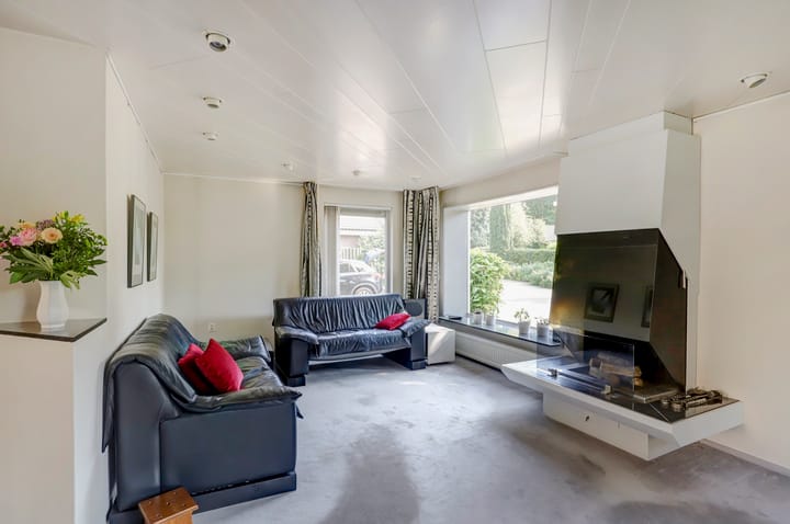 Foto 2 van de Beuk 79