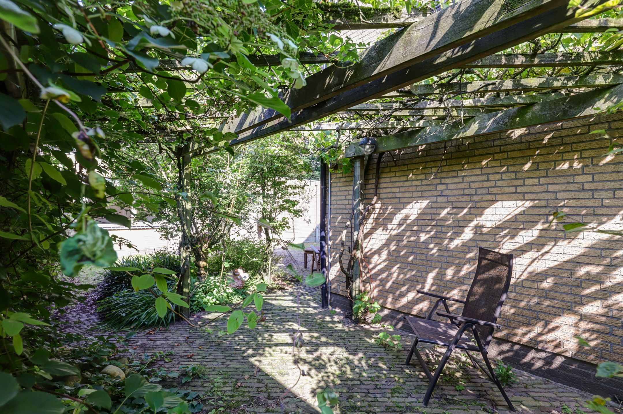 Foto 3 van de Beuk 79