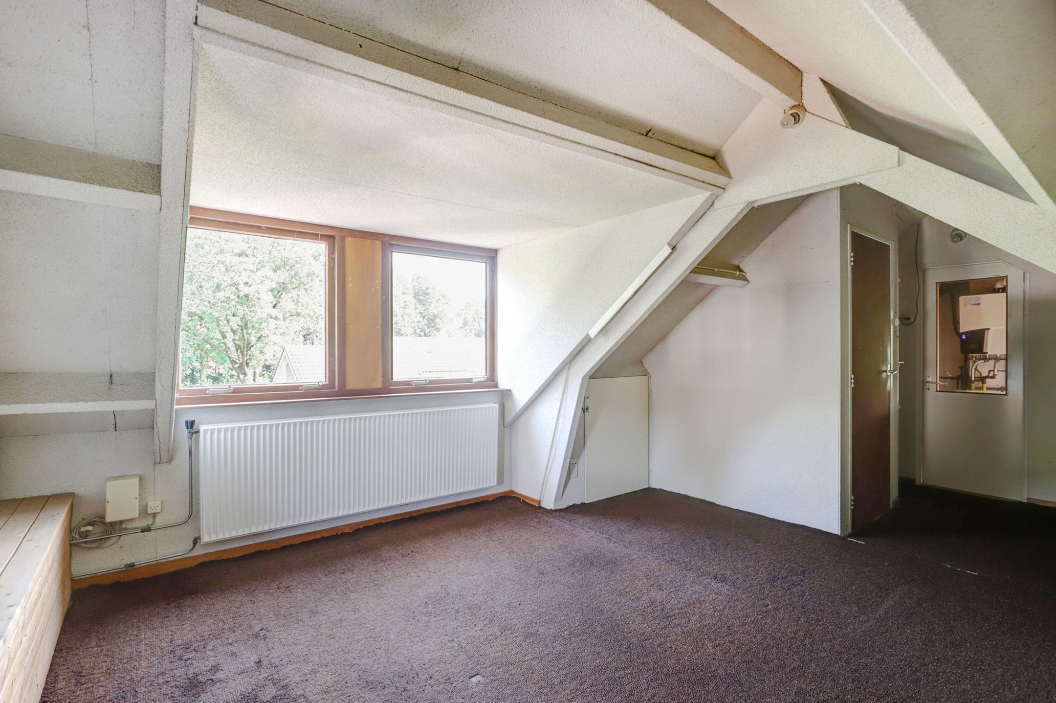 Foto 21 van de Beuk 79