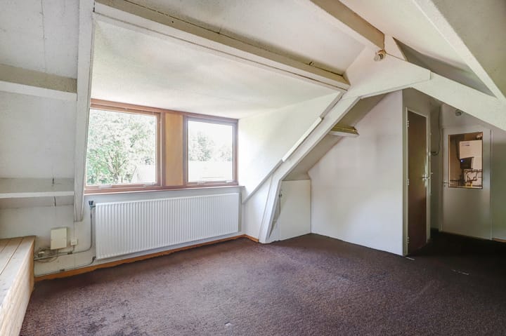 Foto 21 van de Beuk 79