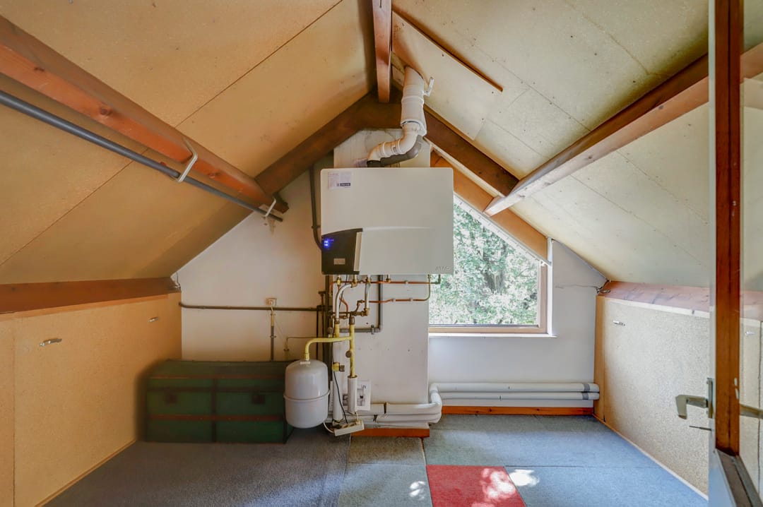 Foto 22 van de Beuk 79