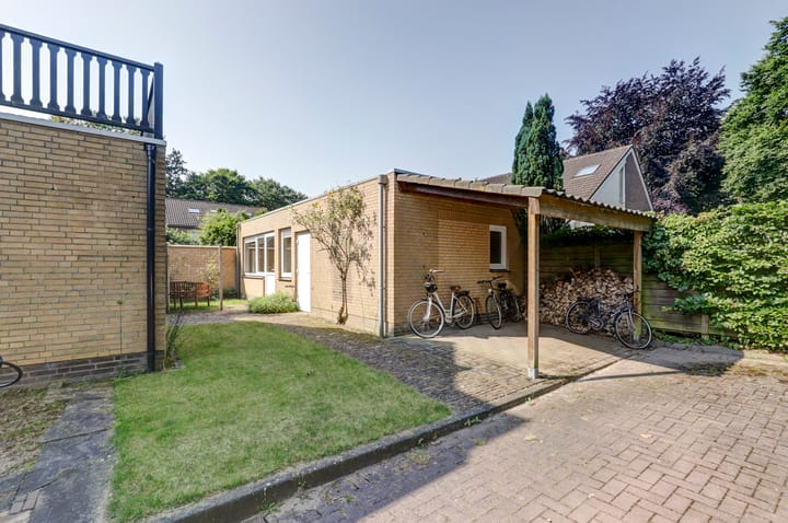 Foto 23 van de Beuk 79