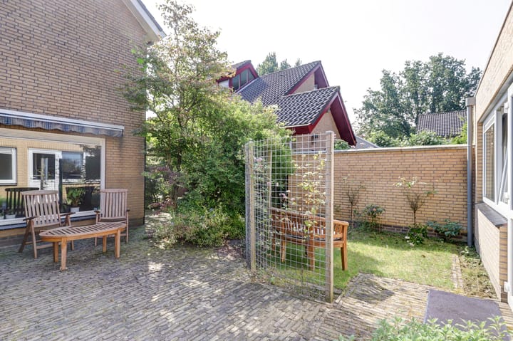 Foto 30 van de Beuk 79