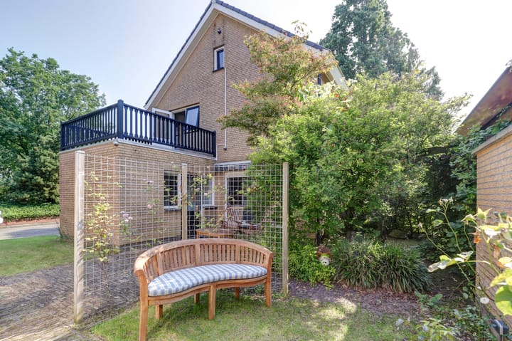 Foto 31 van de Beuk 79