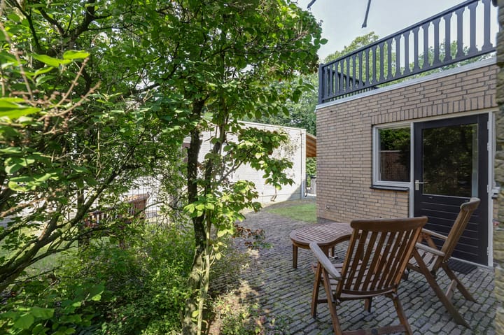 Foto 32 van de Beuk 79