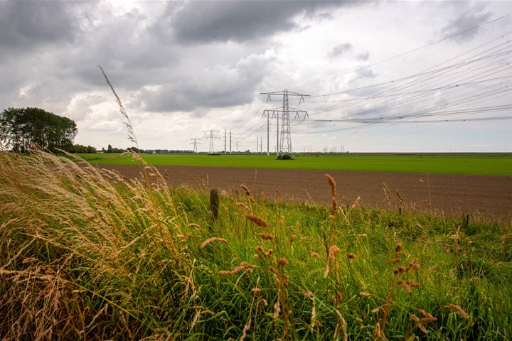 Bekijk foto 36 van Drie Haasjes 13