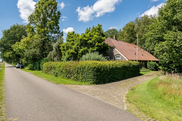 Photo 12 of De Brandt 4