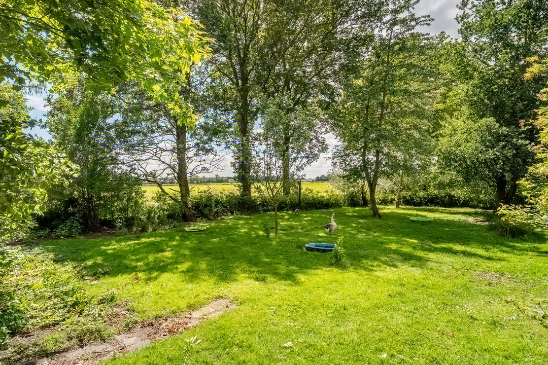 Foto 56 van De Brandt 4