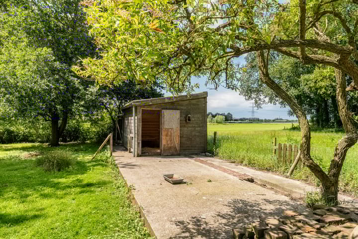 Photo 58 of De Brandt 4