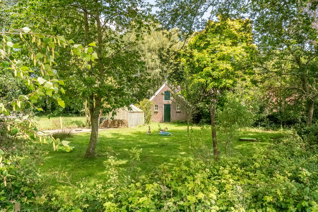 Foto 62 van De Brandt 4