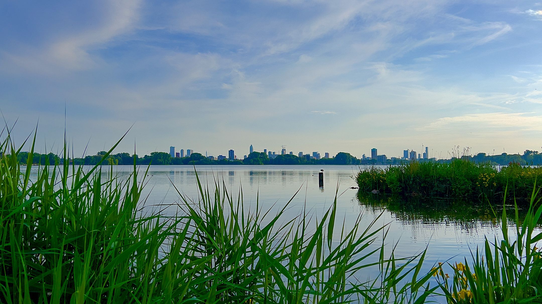 Foto 42 van Voorschoterlaan 95