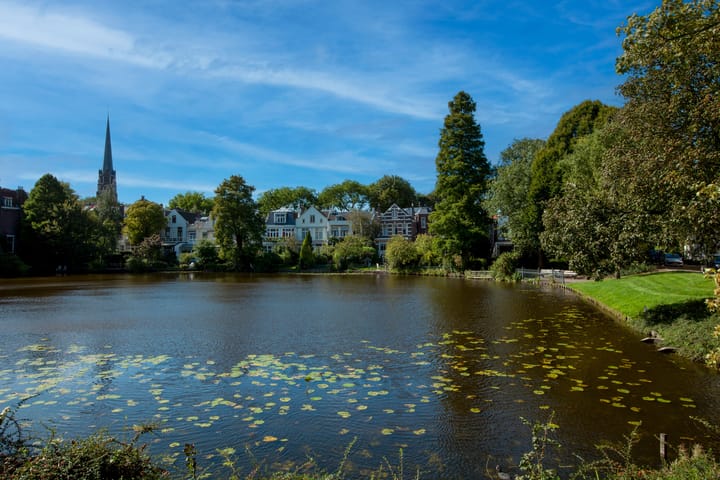 Foto 44 van Voorschoterlaan 95