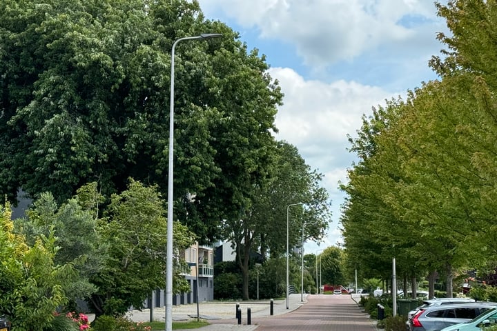 View photo 9 of Planetensingel