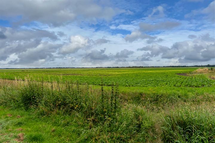 Bekijk foto 2 van Polderweg 1