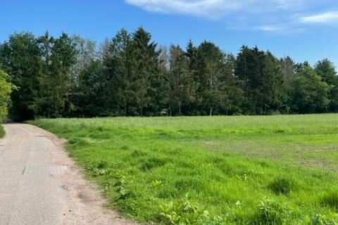 Bekijk foto 3 van Grond nabij Lage Laarderweg