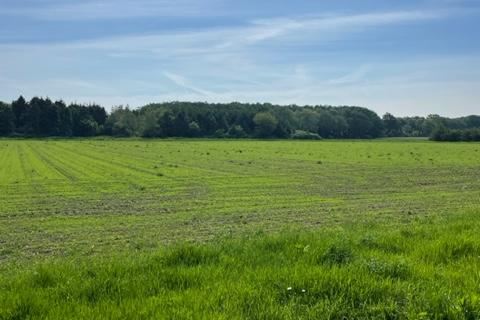 Bekijk foto 1 van Grond nabij Lage Laarderweg