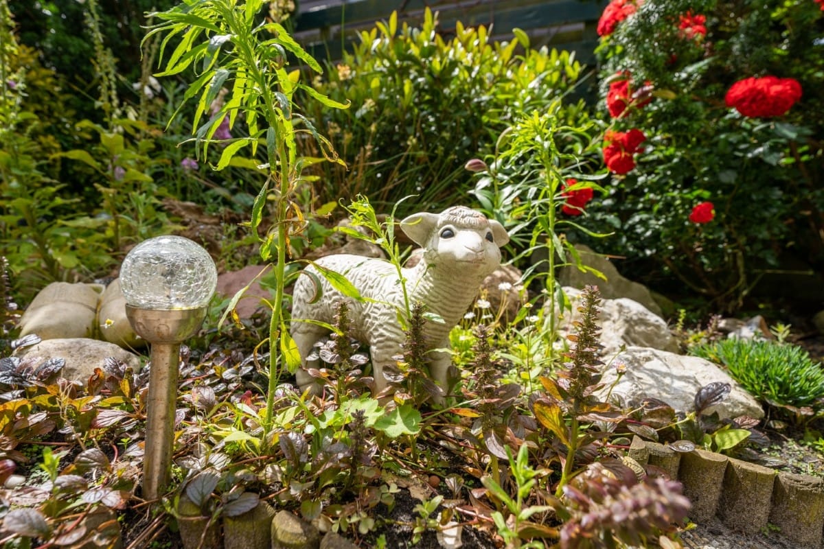 Photo 30 of Roggeslootweg 229