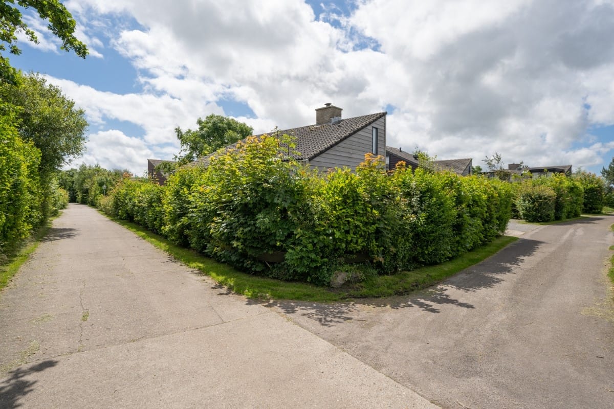 Photo 36 of Roggeslootweg 229