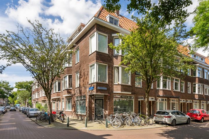 Bekijk foto 50 van Groen van Prinstererstraat 99-A