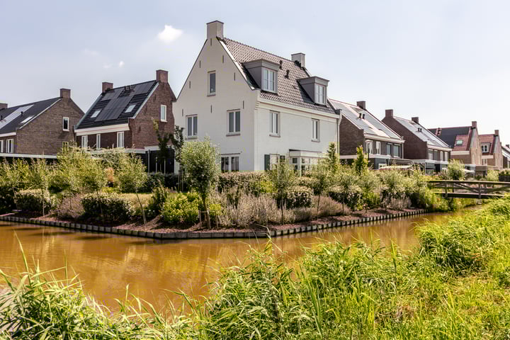 Bijenkorf 25