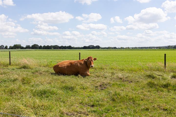 Bekijk foto 71 van Hiedenbrinkstraat 2-A