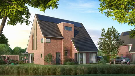 Dordtse Pracht main image