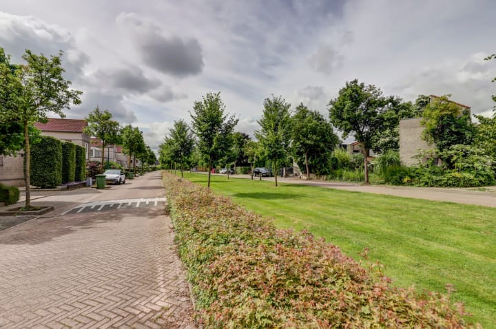 Foto 9 van Zuring 62