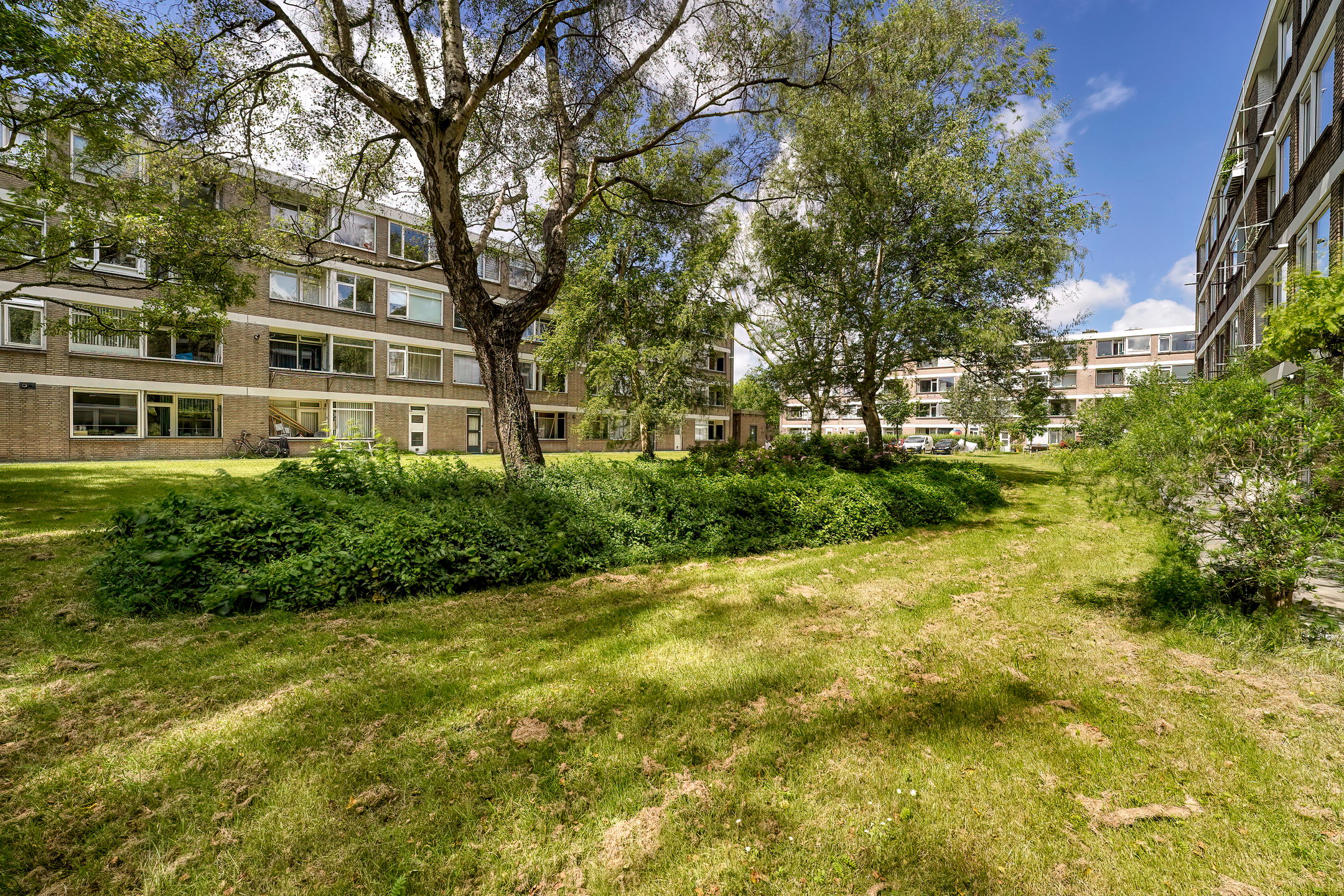 Foto 24 van Ruysdaelhof 34