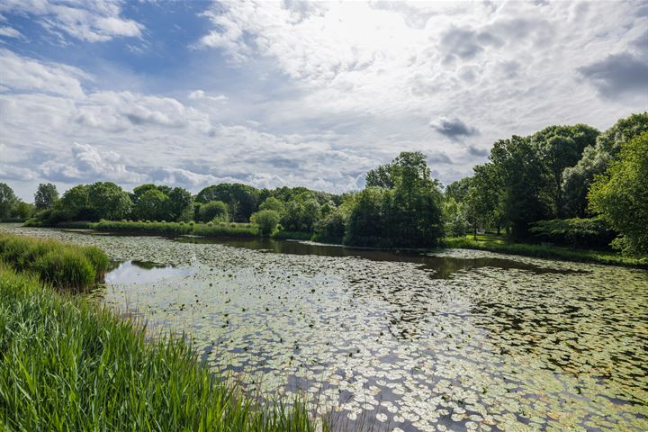 Bekijk foto 19 van Roodborststraat 33