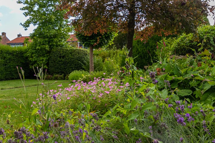 Foto 19 van Polderstraat 28