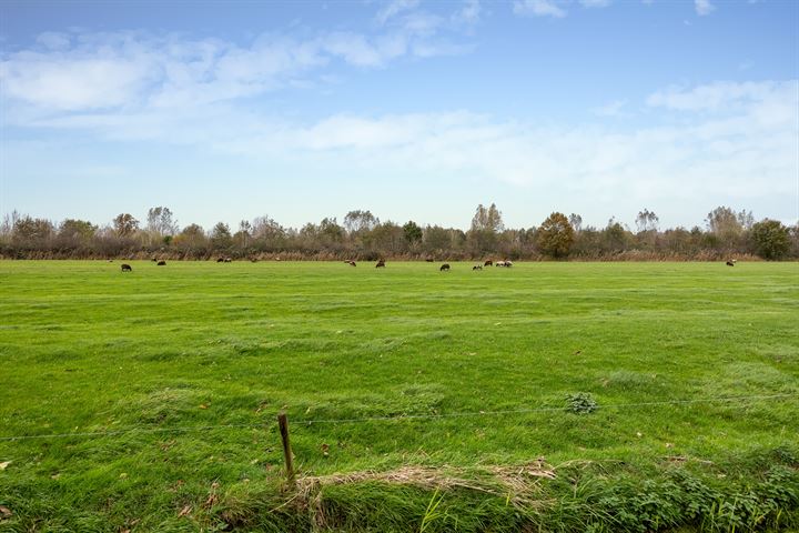 Bekijk foto 35 van Wijkerweg 31