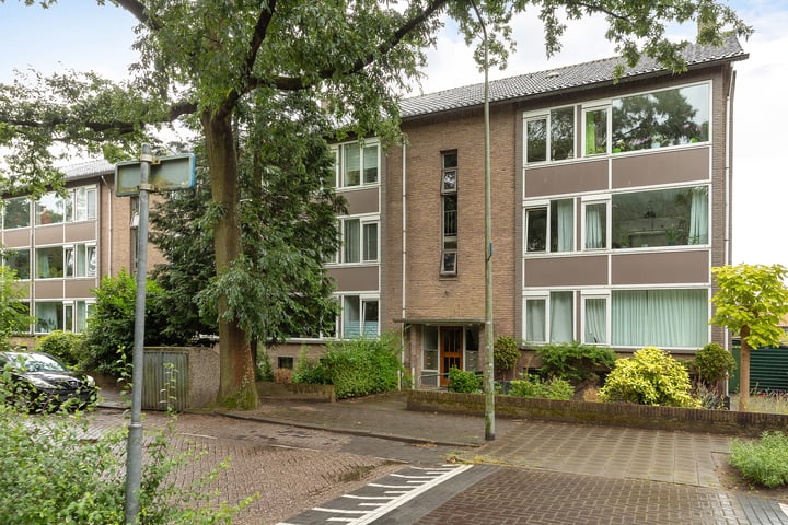 Bekijk foto 1 van Erfgooiersstraat 667