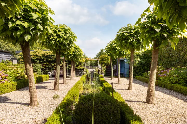 Foto 42 van Tussenlanen 28